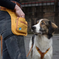 Anny-X Hüfttasche Seitentasche Sidebag 2.0 goldglöckchen