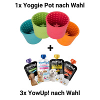 Yoggie Pot Set – Schleckspaß mit YowUp! TÜRKIS 3x Natural-Prebiotics
