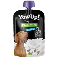 Yoggie Pot Set – Schleckspaß mit YowUp! TÜRKIS 3x Natural-Prebiotics