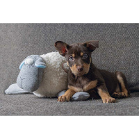 Beeztees Welpe Kuschelschaf mit Herzschlagfunktion