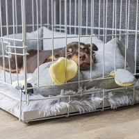 Beeztees Kuschel Doggy weicher Kuschelfreund