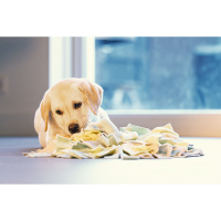 Beeztees Puppy Schnüffelmatte Sniffy spielerisch die Welt erschnüffeln 22x22cm