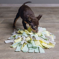 Beeztees Puppy Schnüffelmatte Sniffy spielerisch die Welt erschnüffeln 22x22cm