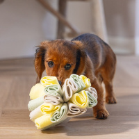 Beeztees Puppy IZZY Schnüffelball