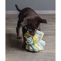 Beeztees Puppy IZZY Schnüffelball