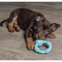 Beeztees Sumo Mini Team Spielspaß und Zahnpflege...