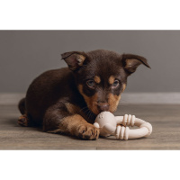 Beeztees Sumo Mini Team Spielspaß und Zahnpflege für Welpen rosa