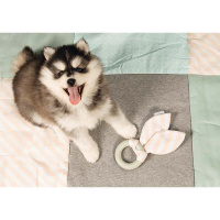 Beeztees Puppy Kauring Tjuwa Spielspaß und...