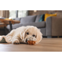 Beeztees Puppy Spielball Denise für Welpen M