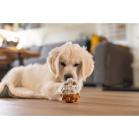 Beeztees Puppy Spielball Denise für Welpen M