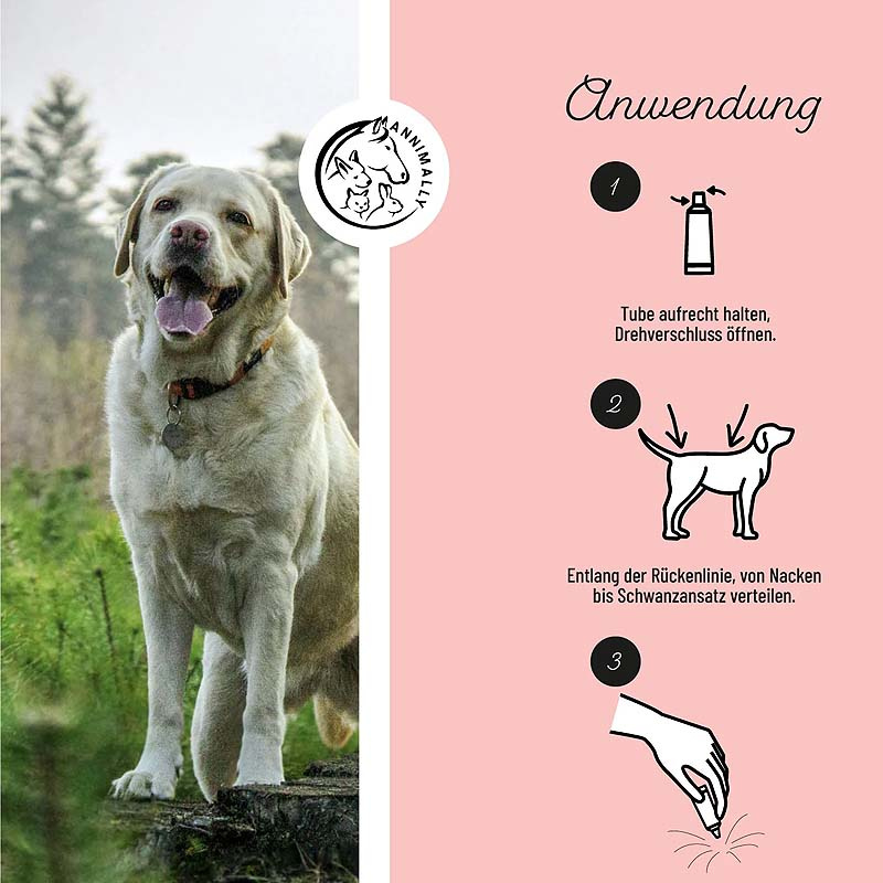 ANNIMALLY Anti Ecto Spot On Zecken- & Flohschutz für Hunde S (4-10kg)