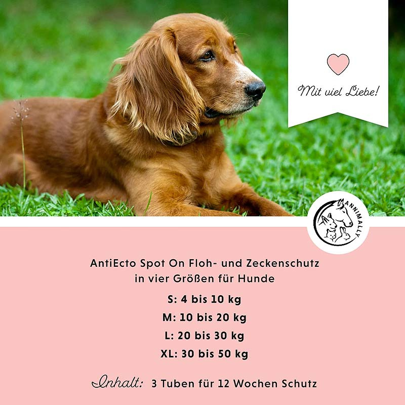 ANNIMALLY Anti Ecto Spot On Zecken- & Flohschutz für Hunde S (4-10kg)