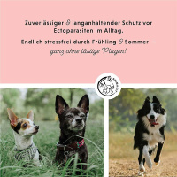 ANNIMALLY Natürlicher Zecken und Flohschutz M (10-20kg)