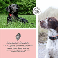 ANNIMALLY Natürlicher Zecken und Flohschutz XL (30-50kg)