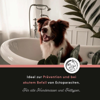 ANNIMALLY AntiEcto Zecken & Floh Shampoo für Hunde