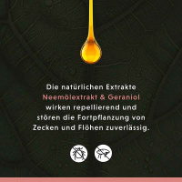 ANNIMALLY AntiEcto Zecken & Floh Shampoo für Hunde