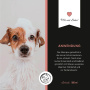 ANNIMALLY AntiEcto Zecken & Floh Shampoo für Hunde