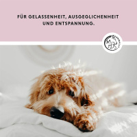 ANNIMALLY Relax Tabletten für Ruhe und Ausgeglichenheit 120 Tabletten