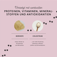 ANNIMALLY Relax Tabletten für Ruhe und Ausgeglichenheit 120 Tabletten