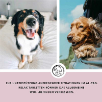 ANNIMALLY Relax Tabletten für Ruhe und Ausgeglichenheit 120 Tabletten