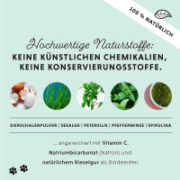 ANNIMALLY Oral Vital Zahnpflegepulver für gesunde Zähne 100g