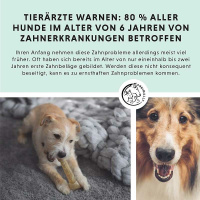 ANNIMALLY Oral Vital Zahnpflegepulver für gesunde Zähne 350g