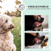 ANNIMALLY Oral Vital Zahnpflegepulver für gesunde Zähne 350g