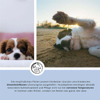 ANNIMALLY Pfotenbalsam für zarte Pfötchen