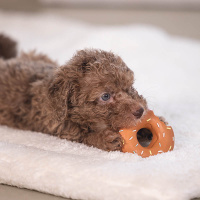 Beeztees Puppy Donuts JUM Kauspielzeug für deinen Welpen BRAUN