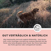 ANNIMALLY ZEC McWeg natürlicher Schutz für Hunde 400g