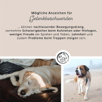 ANNIMALLY Gelenkpulver für Hunde