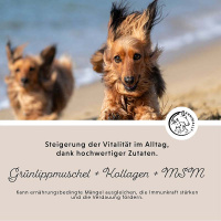 ANNIMALLY Gelenkpulver für Hunde