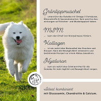 ANNIMALLY Gelenkpulver für Hunde 300g