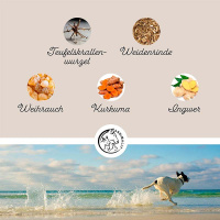 ANNIMALLY Gelenkpulver für Hunde 300g