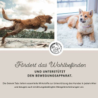ANNIMALLY Gelenktabletten  für Hunde