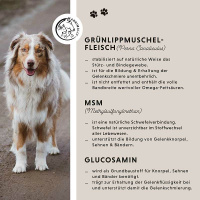 ANNIMALLY Gelenktabletten  für Hunde