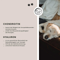 ANNIMALLY Gelenktabletten  für Hunde