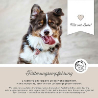 ANNIMALLY Gelenktabletten  für Hunde