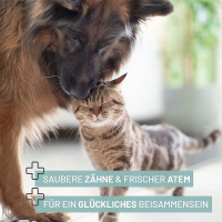 REAVET Dental Vital Fingerpads Zahnpflege ohne Stress 50 Stück