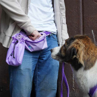 AnnyX Belt Gurt für dein vielfältiges Zubehör