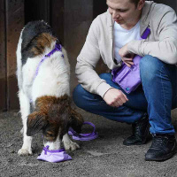 AnnyX Belt Gurt für dein vielfältiges Zubehör