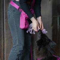 AnnyX Belt Gurt für dein vielfältiges Zubehör