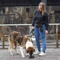 AnnyX Belt Gurt für dein vielfältiges Zubehör