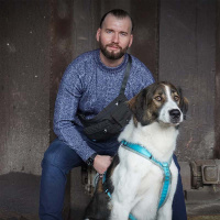 AnnyX Belt Gurt für dein vielfältiges Zubehör schwarz S-25mm