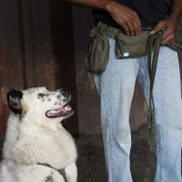 AnnyX Belt Gurt für dein vielfältiges Zubehör oliv L-50mm