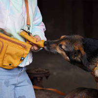 AnnyX Belt Gurt für dein vielfältiges Zubehör goldglöckchen S-25mm