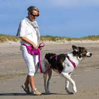 AnnyX Belt Gurt für dein vielfältiges Zubehör sonnenhut S-25mm