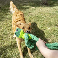 KONG Knots Kuscheltier Frosch XL