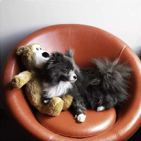 KONG Knots Kuscheltier Bär XL hell-braun