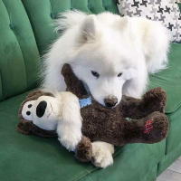 KONG Knots Kuscheltier Bär XL dunkel-braun